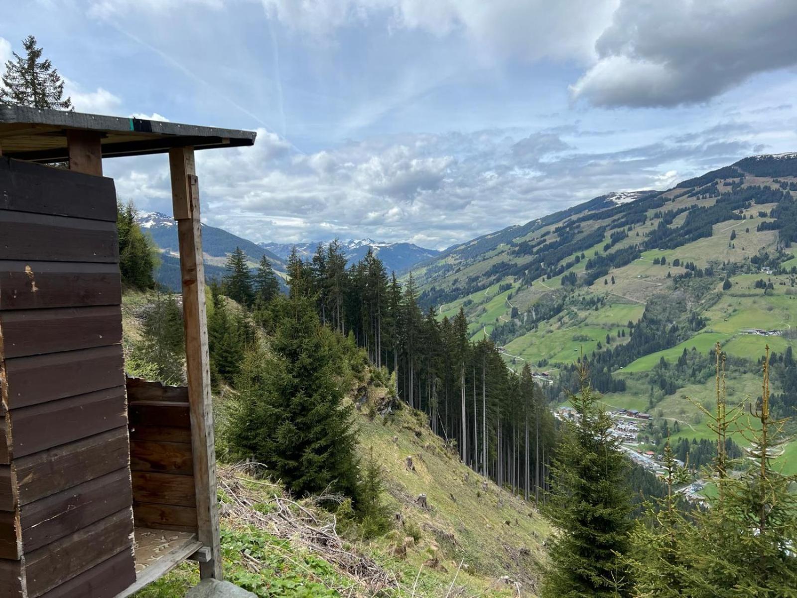 Landhaus Servus Viehhofen Zewnętrze zdjęcie